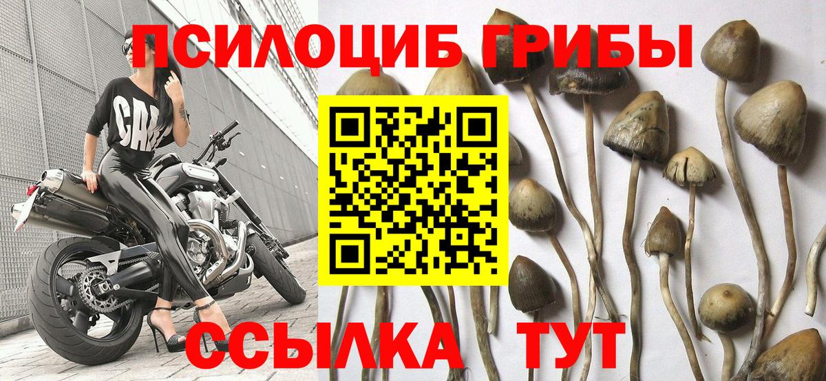Псилоцибиновые грибы Magic Shrooms Реж